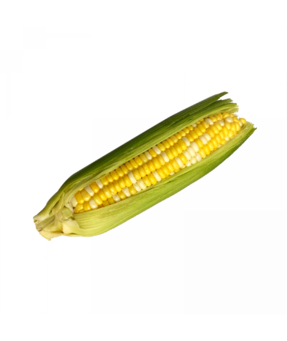 AA Sweet Corn -Unit 珍珠玉米