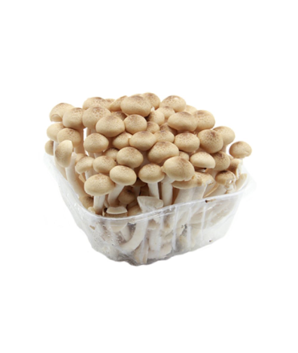 Buno Shiimeji Mushroom 150g 灵芝菇