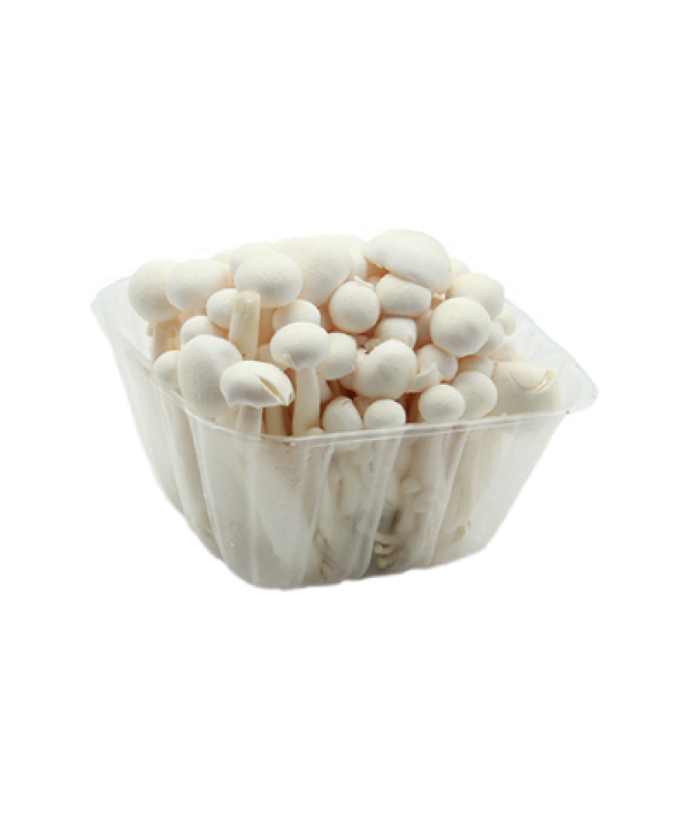 White Shiimeji Mushroom白玉菇150g