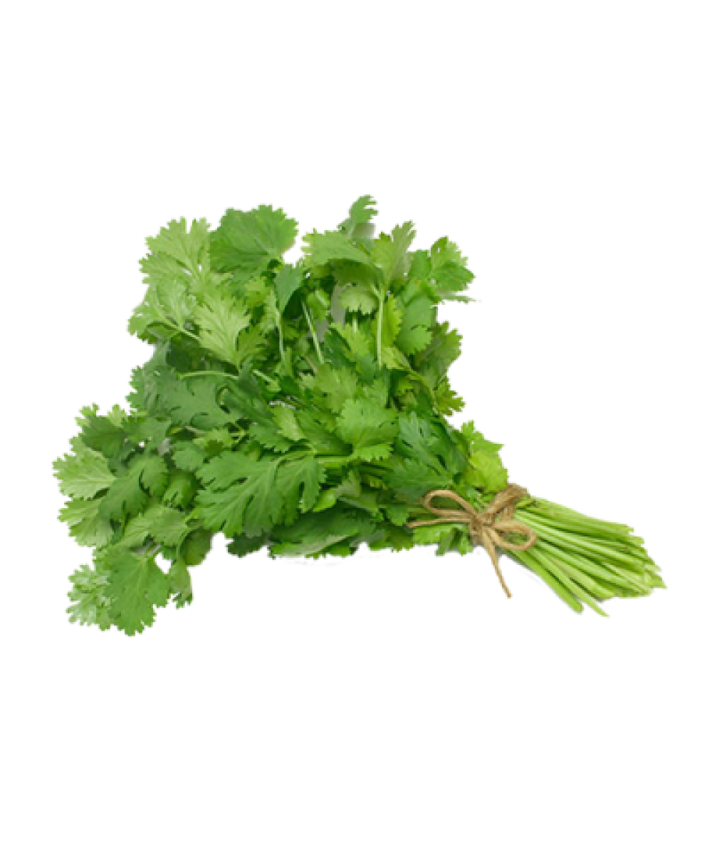 Chinese Parsley 50g 芫茜