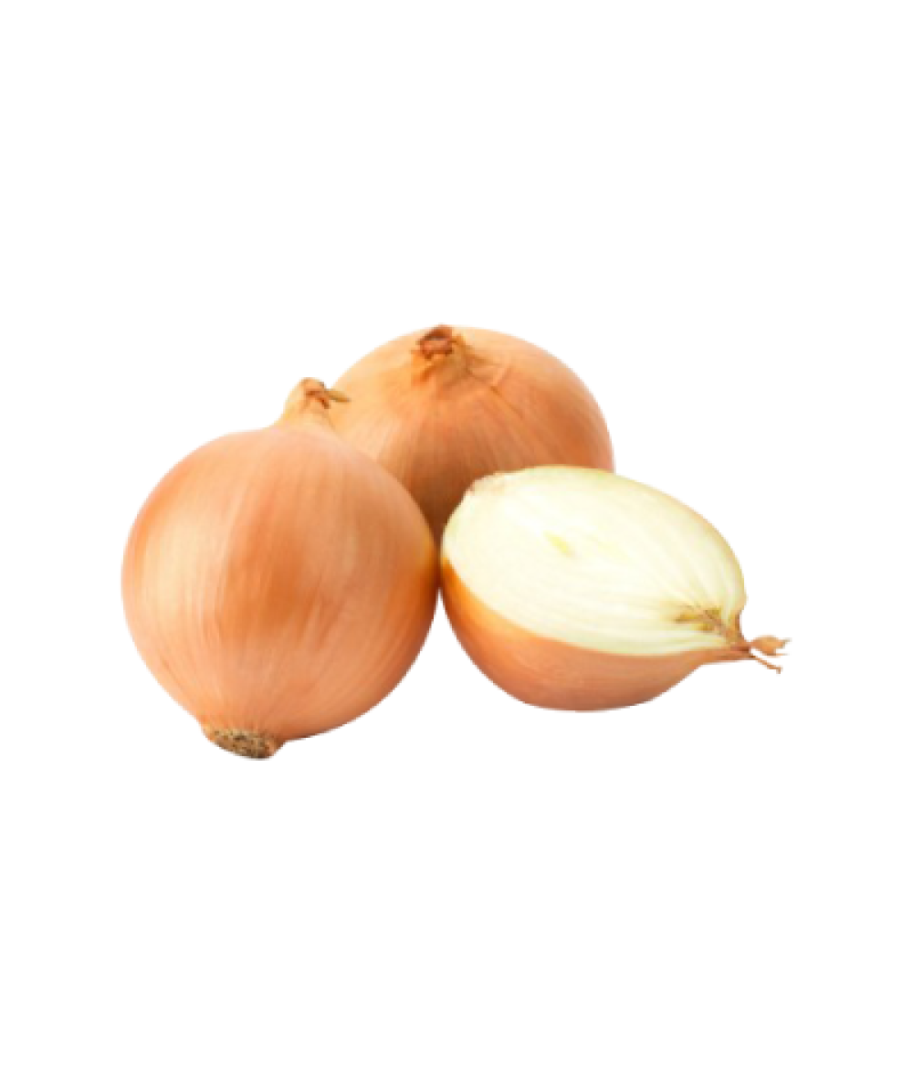 Large Yellow Onion 500g 大黄葱