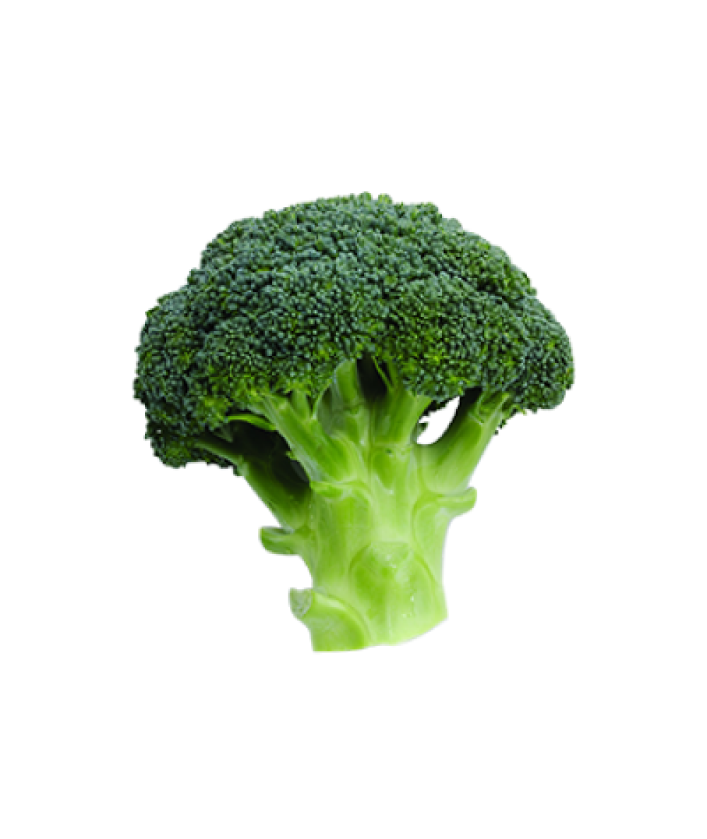 PP Broccoli 360g+/-