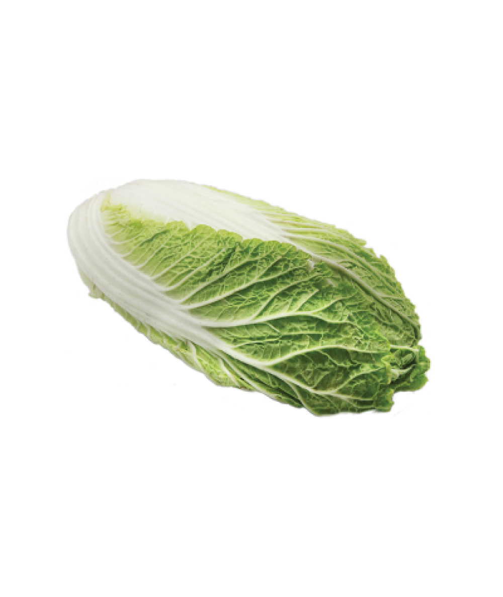 PP Cameron Chinese Cabbage 550g+/-