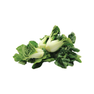 PP Xiao Nai Bai 280g+/-