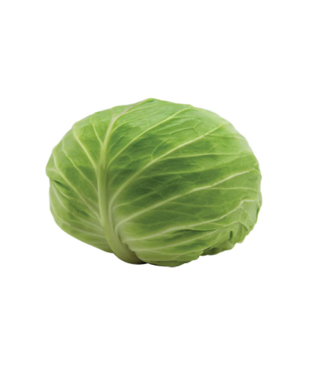 PP Round Cabbage (Cut) 480g+/-