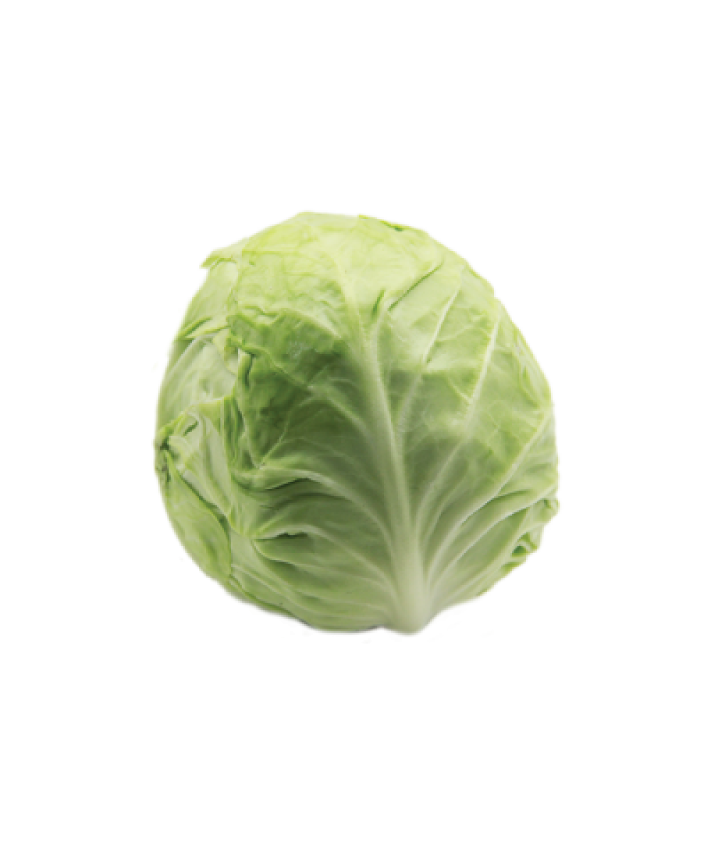 PP Beijing Cabbage (Cut) 400g+/-
