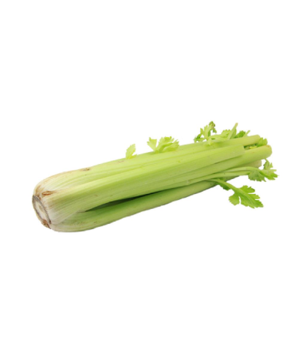 PP Celery 480g+/-