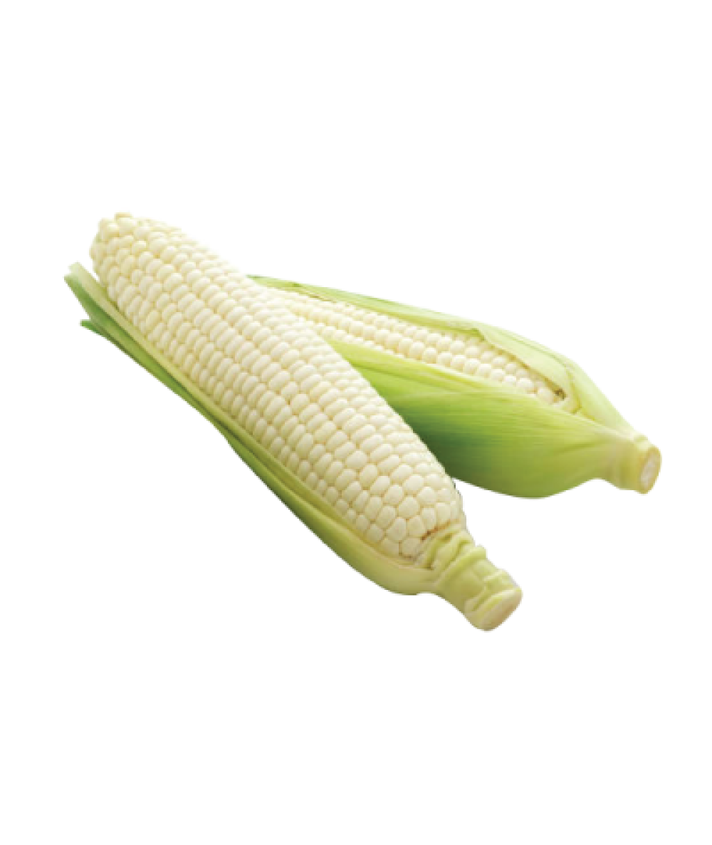 White Sweet Corn-Unit