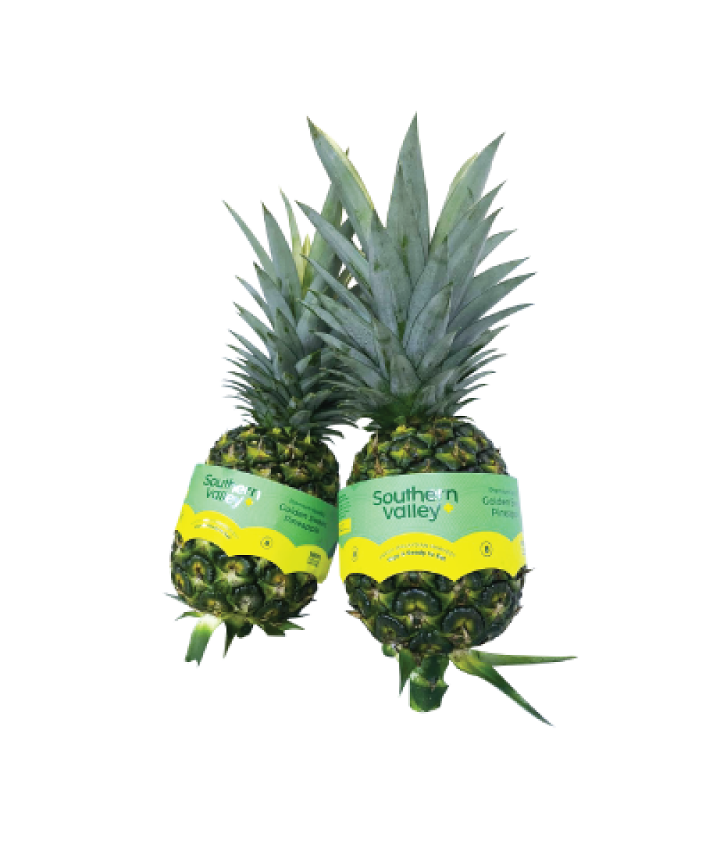 MD2 Pineapple - 1s