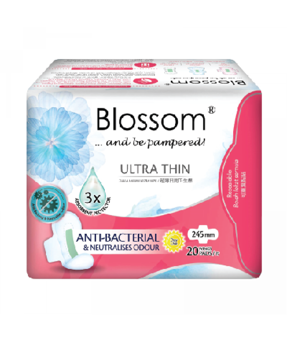 Blossom Day Use Ultra Thin Wing 20s 