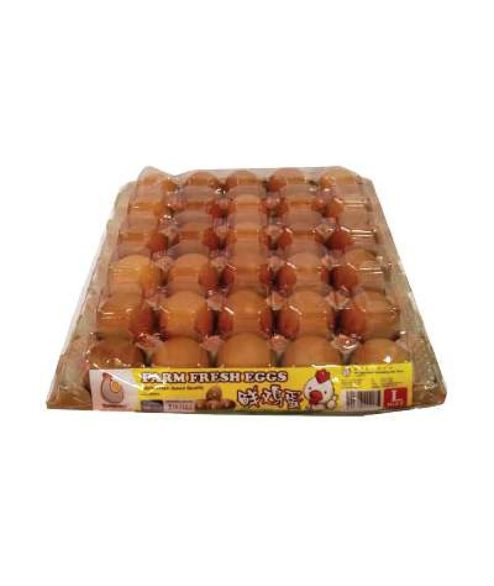 SP Chicken Egg Grade A With Cover 30's