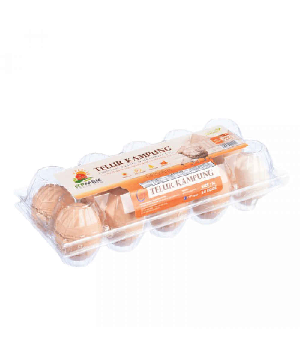 LTP Corn Plus Kampung Egg 10's