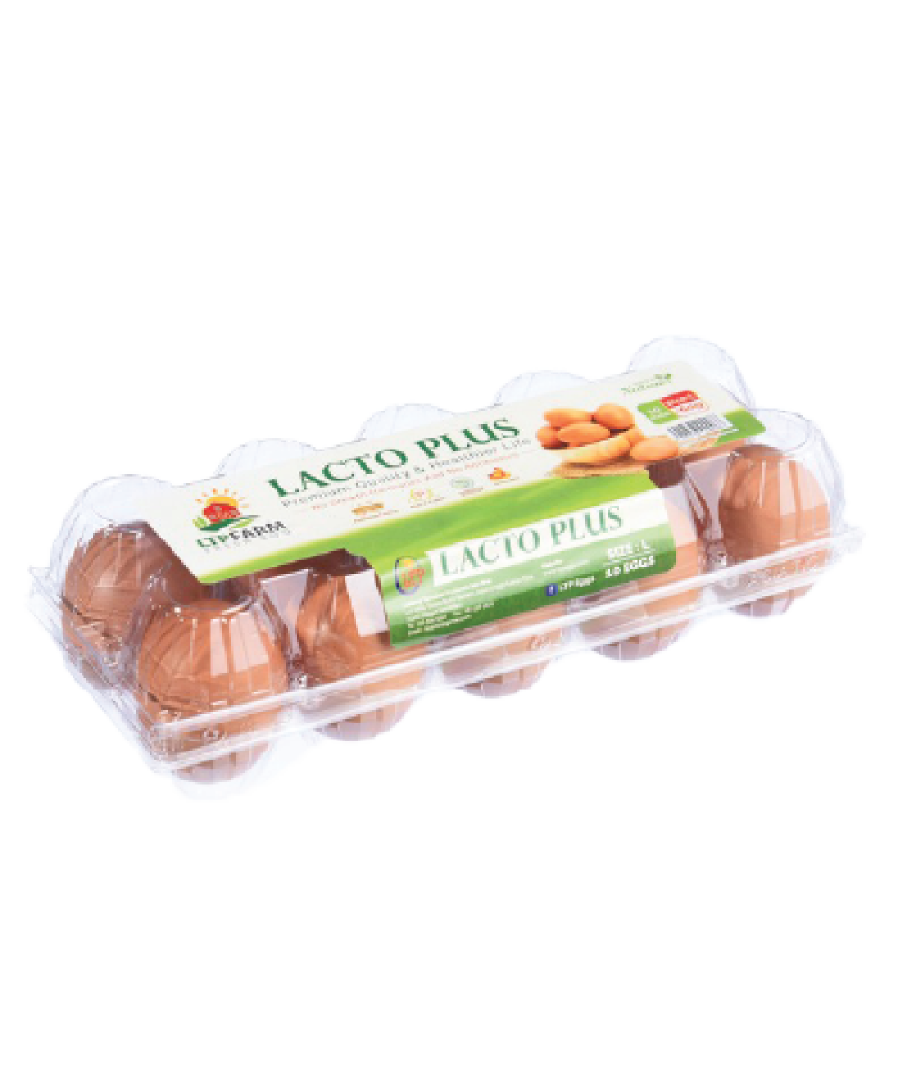 LTP Lacto Plus Egg 10's
