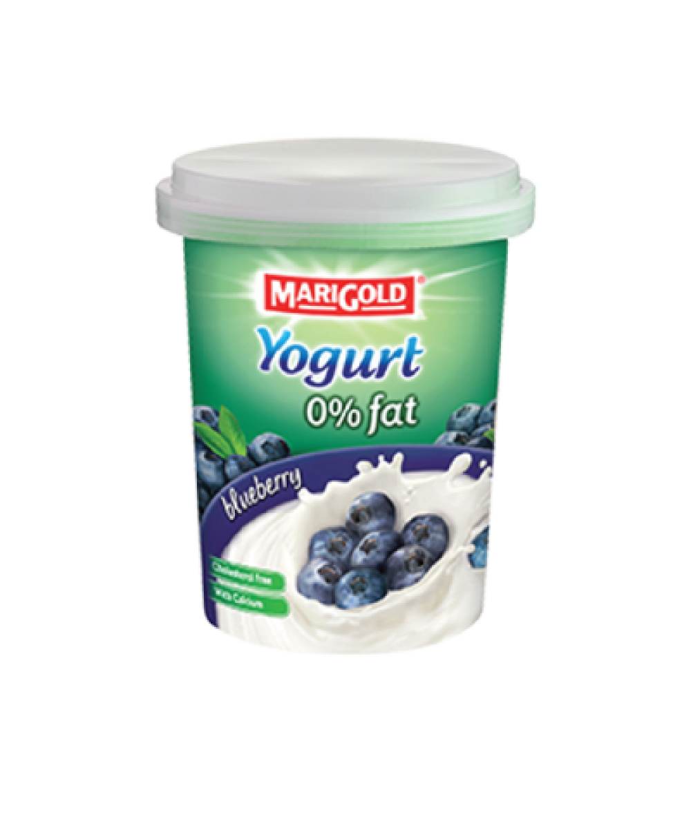 MG Fat Free Yogurt Blueberry 135g