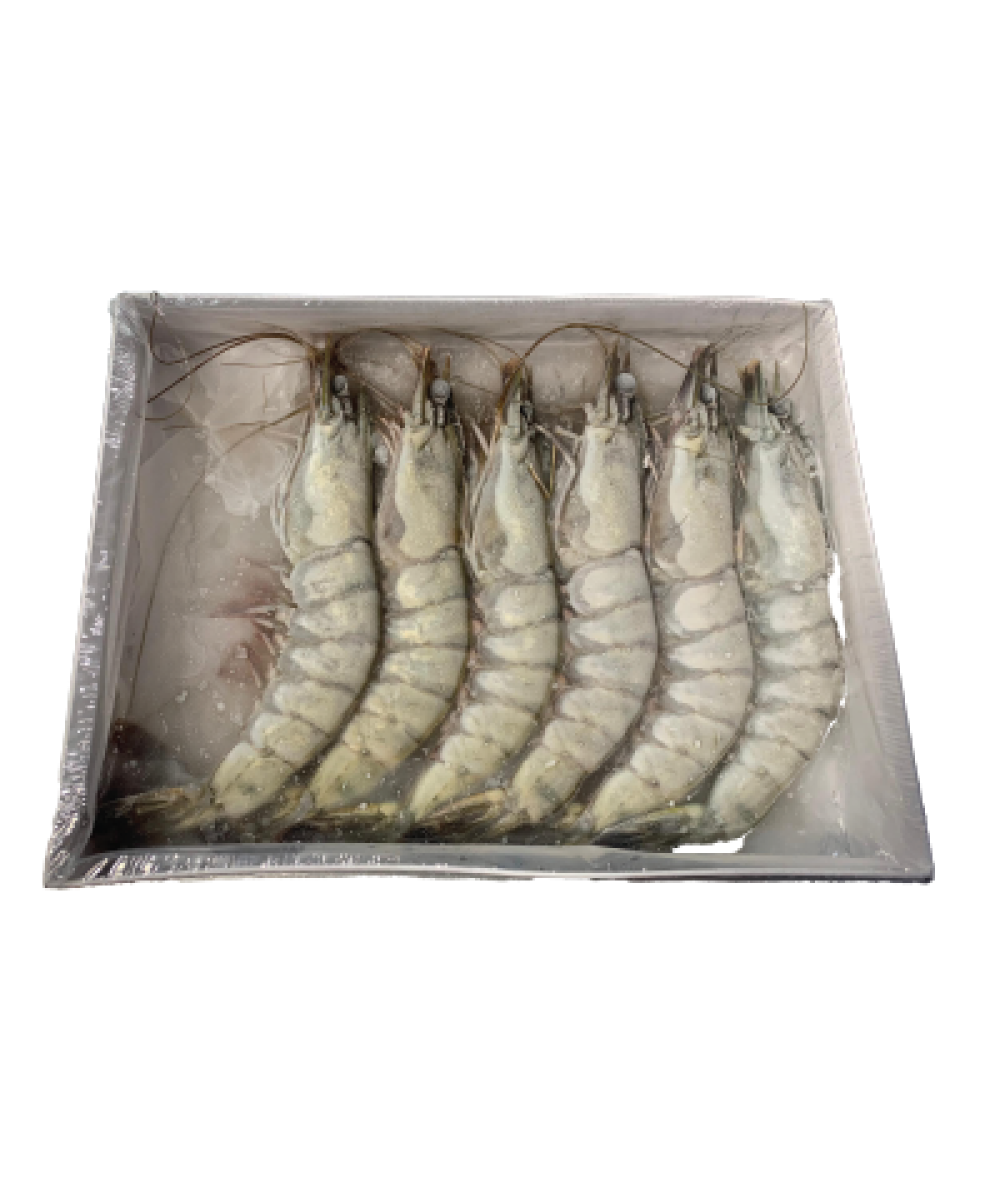 *Frozen Black Tiger Prawn 21/25 300g